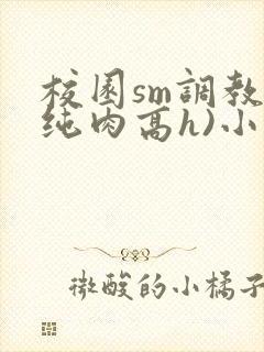 校园sm调教(纯肉高h)小说