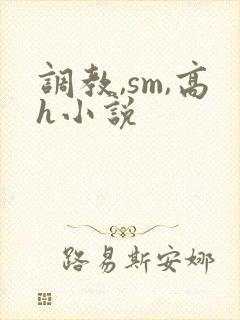调教,sm,高h小说