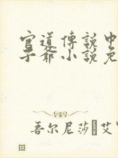 官道传说中的太子爷小说免费阅读