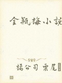 金瓶梅小说下载封面