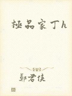 极品家丁h
