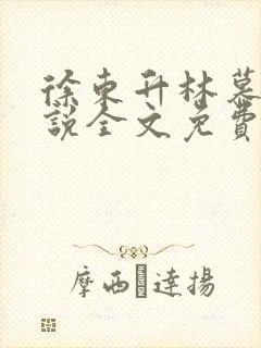 徐东升林慕婉小说全文免费阅读封面