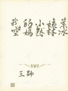我的小姨叶凡司空嫣然林冰