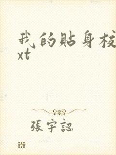 我的贴身校花txt封面