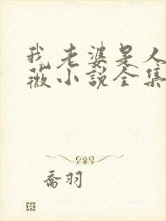 我老婆是人妖晓薇小说全集