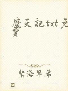 魔天记txt免费