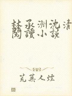 林承洲沈清免费阅读小说