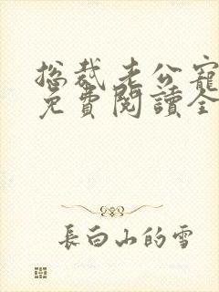 总裁老公宠不停免费阅读全文