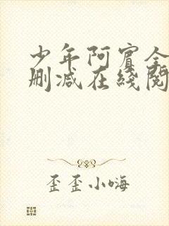少年阿宾全文无删减在线阅读