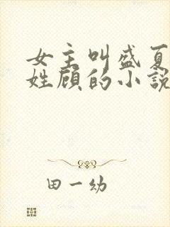 女主叫盛夏男主姓顾的小说