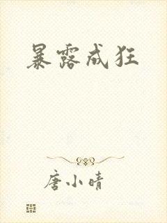 暴露成狂封面