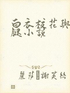 白衣校花与大长腿小说