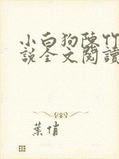 小白狗陈竹岚小说全文阅读免费