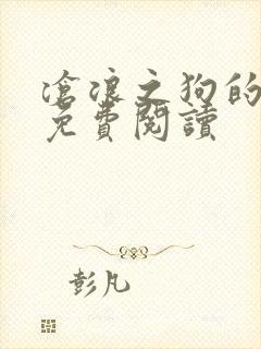 沧浪之狗的小说免费阅读封面