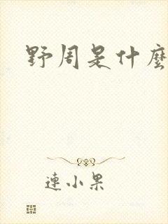 野周是什么意思
