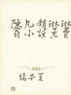 陈凡赵琳琳主人翁小说免费阅读
