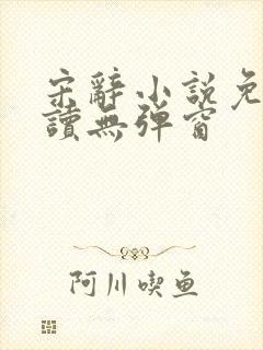宋辞小说免费阅读无弹窗