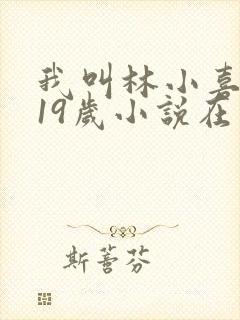 我叫林小喜今年19岁小说在线阅读全文封面