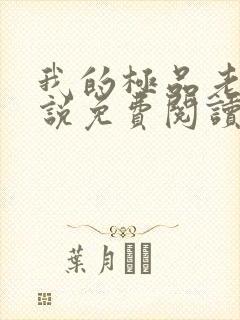 我的极品老婆小说免费阅读全文