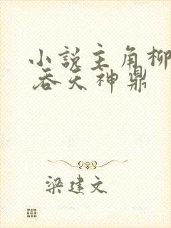 小说主角柳无邪 吞天神鼎