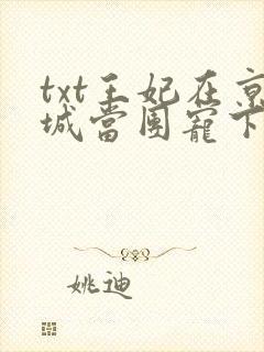 txt王妃在京城当团宠下载封面