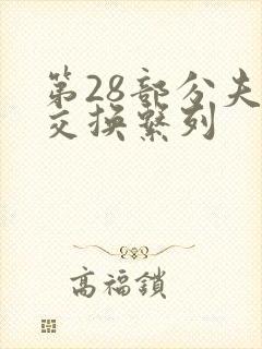 第28部分夫妇交换系列封面