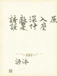 诱敌深入原著小说是什么