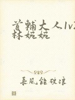 首辅大人1v2林婉婉