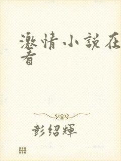 激情小说在线观看