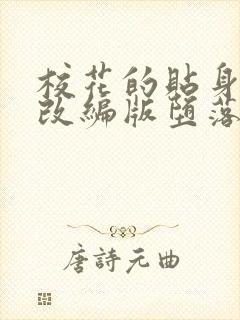 校花的贴身高手改编版堕落