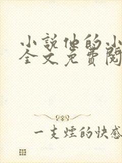 小说他的小仙女全文免费阅读