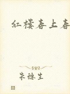 红楼春上春封面
