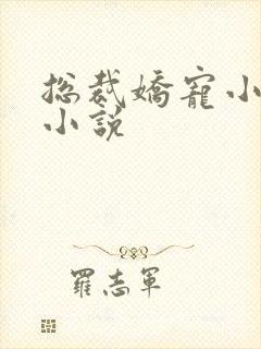 总裁娇宠小蛮妻小说