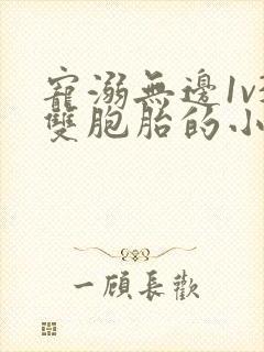 宠溺无边1v3双胞胎的小说