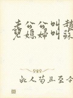 老公公叫赵大宝儿媳妇叫苏媚的小说