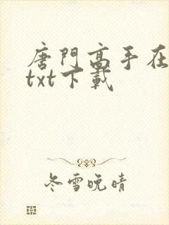 唐门高手在异世txt下载
