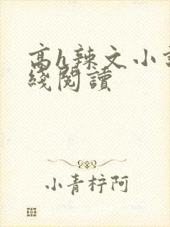 高h辣文小说在线阅读封面