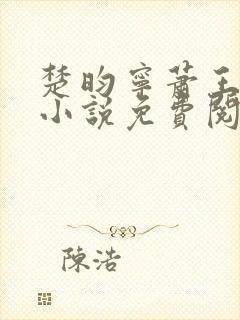 楚昀宁萧王穿越小说免费阅读无弹窗封面