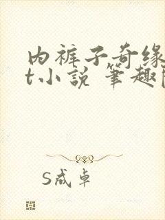 内裤子奇缘txt小说 笔趣阁
