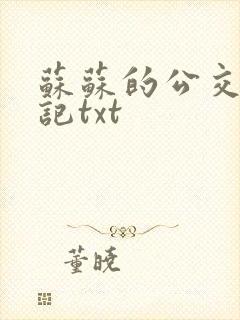 苏苏的公交车日记txt