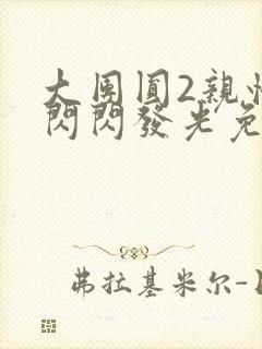 大团圆2亲情会闪闪发光免费