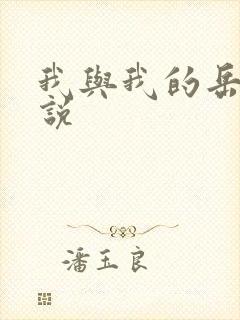 我与我的岳母小说