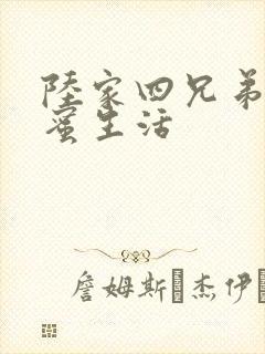 陆家四兄弟的甜蜜生活