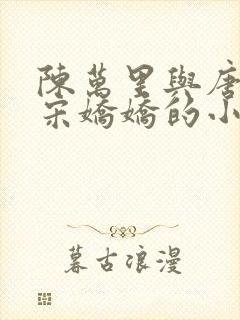 陈万里与唐嫣然宋娇娇的小说叫什么