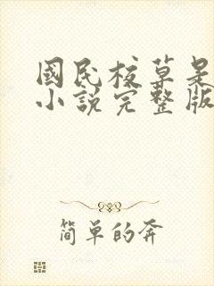 国民校草是女生小说完整版