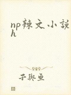 np辣文小说高h