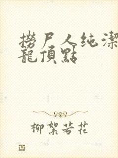 捞尸人纯洁滴小龙顶点封面