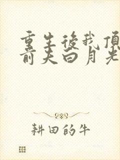 重生后我顶替了前夫白月光最新更新章节封面