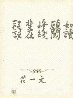 段斐峥顾如锦小说在线阅读封面
