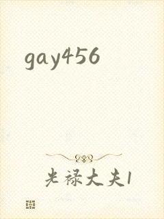 gay456封面